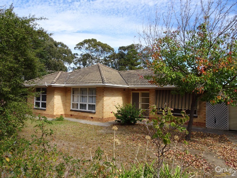 43 Elizabeth Street, Banksia Park SA 5091