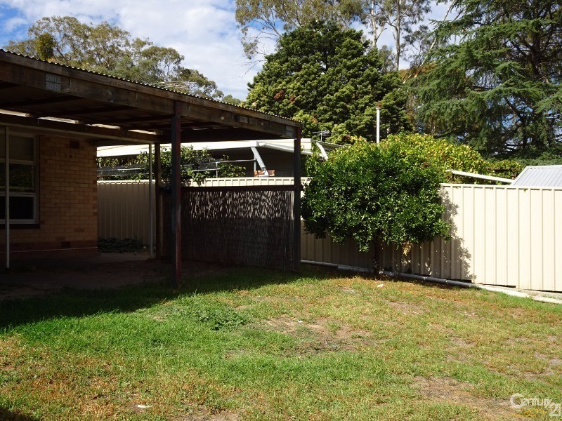 43 Elizabeth Street, Banksia Park SA 5091