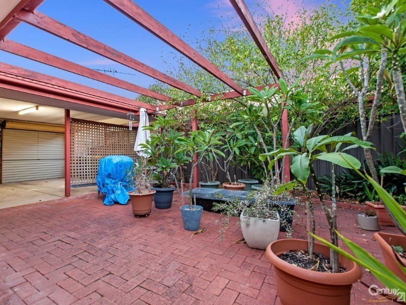 23 Shearwater Place, Wynn Vale SA 5127