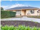 11 Dawson Drive, Modbury SA 5092