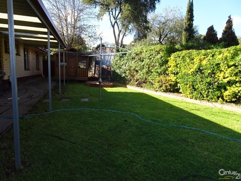 11 Carnarvon Avenue, Redwood Park SA 5097