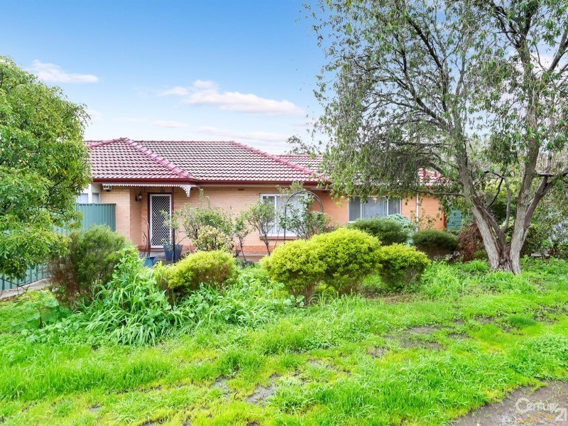 49 Marsha Drive, Banksia Park SA 5091