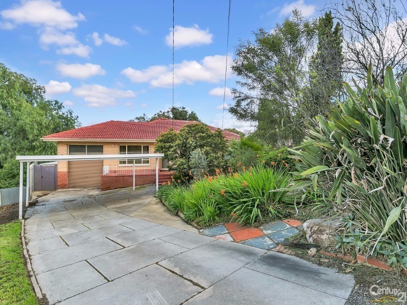 24 Tatiara Drive, Banksia Park SA 5091