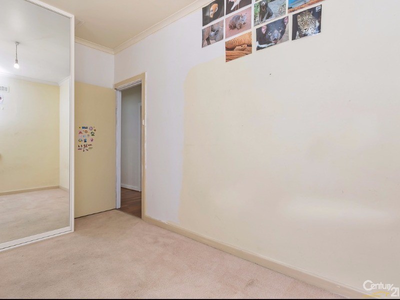 3 Patricia Street, Ridgehaven SA 5097