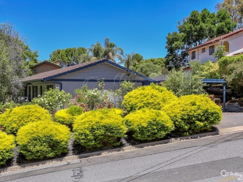 15 Windsor Road, Highbury SA 5089