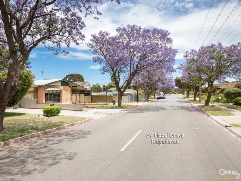 37 Hazel Grove, Ridgehaven SA 5097