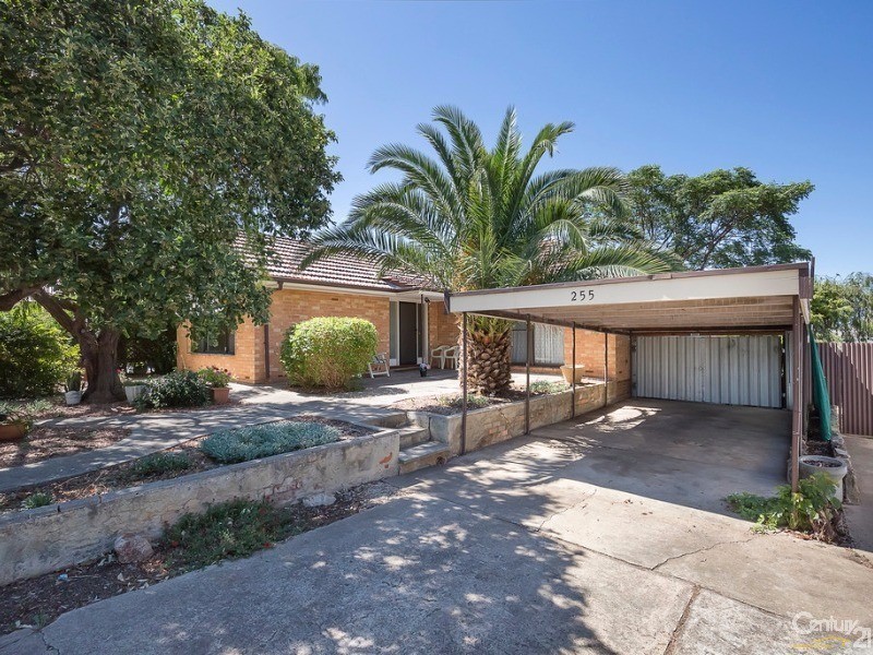 255 Wright Road, Valley View SA 5093