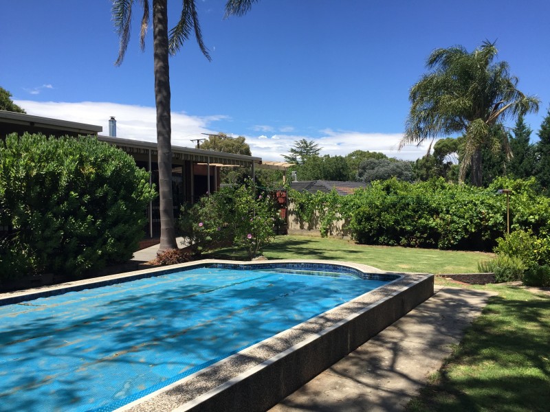 24 Waitara Road, Banksia Park SA 5091