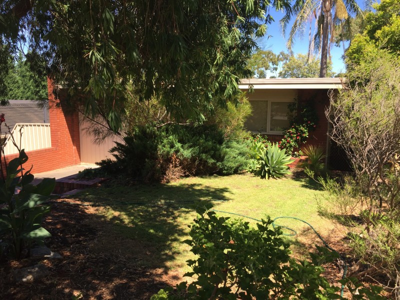 24 Waitara Road, Banksia Park SA 5091