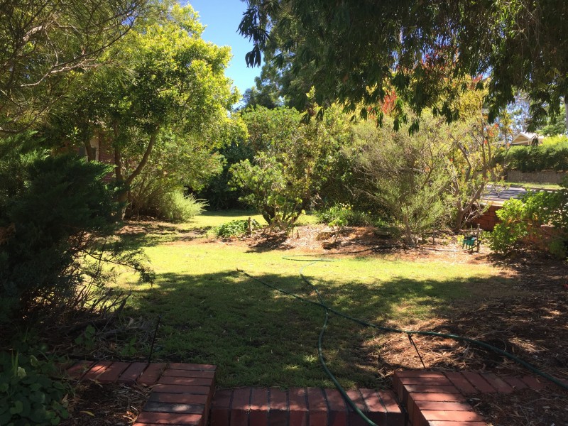 24 Waitara Road, Banksia Park SA 5091