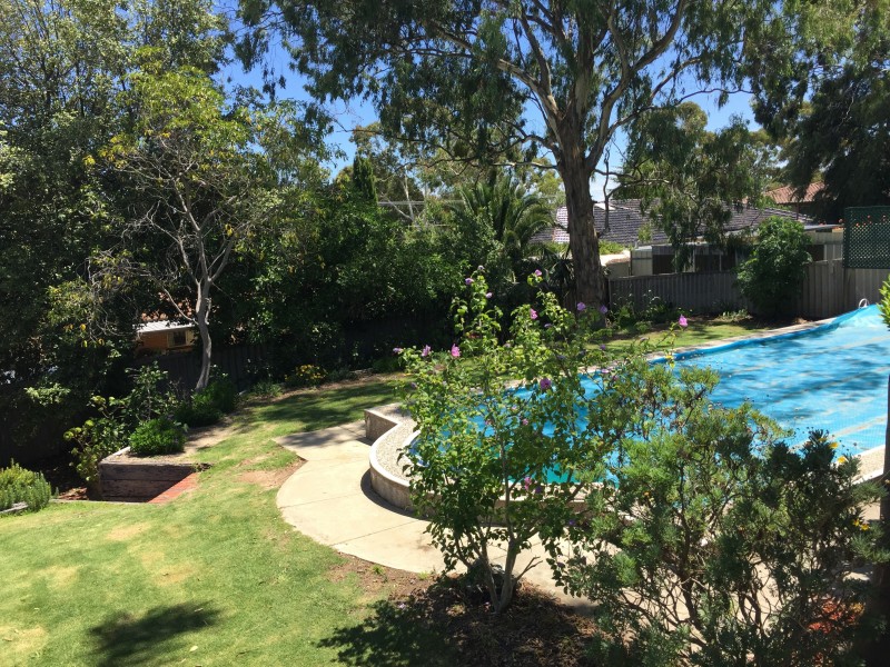 24 Waitara Road, Banksia Park SA 5091