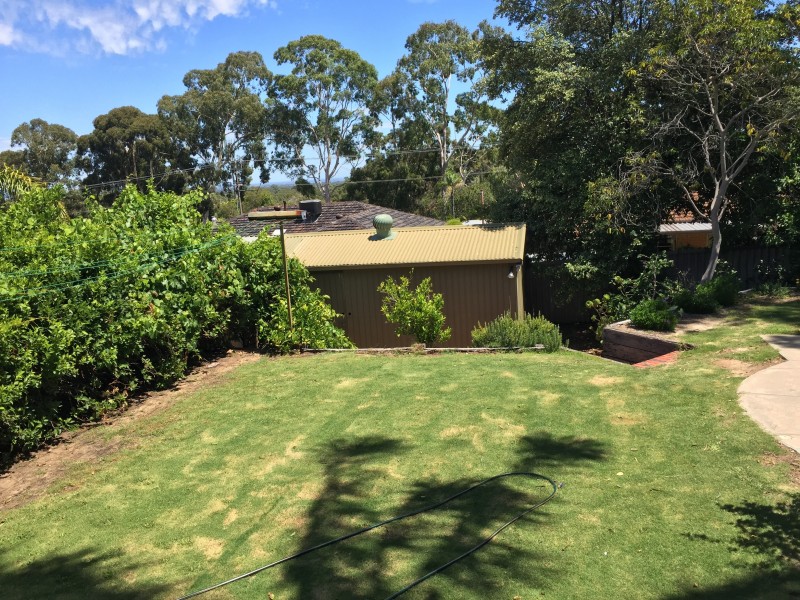 24 Waitara Road, Banksia Park SA 5091