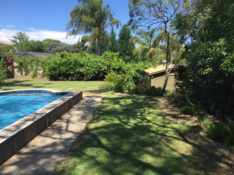 24 Waitara Road, Banksia Park SA 5091