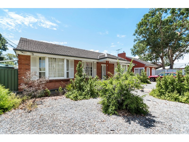 18 Carty Avenue, Modbury SA 5092