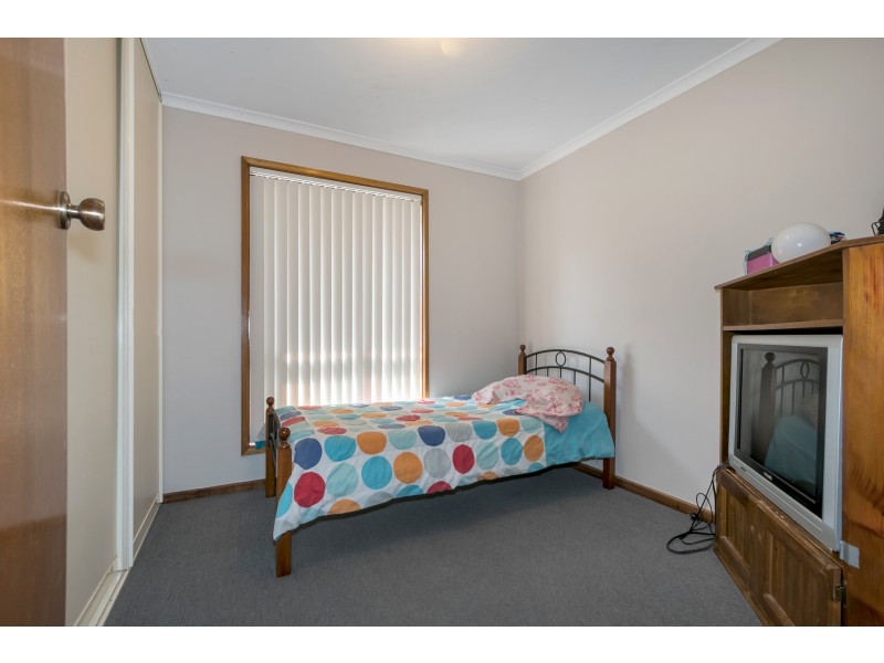 12 Nankeen Street, Modbury Heights SA 5092