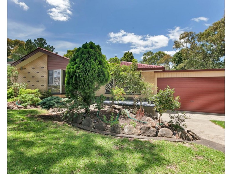 13 Cotton Street, Fairview Park SA 5126