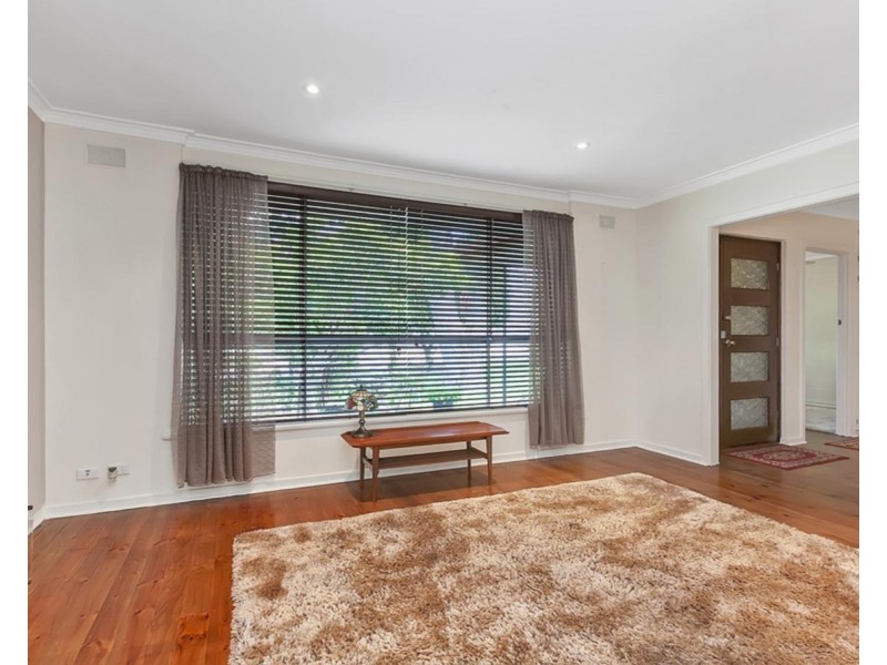 13 Cotton Street, Fairview Park SA 5126
