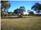 42  Bendigo Crescent, Modbury SA 5092