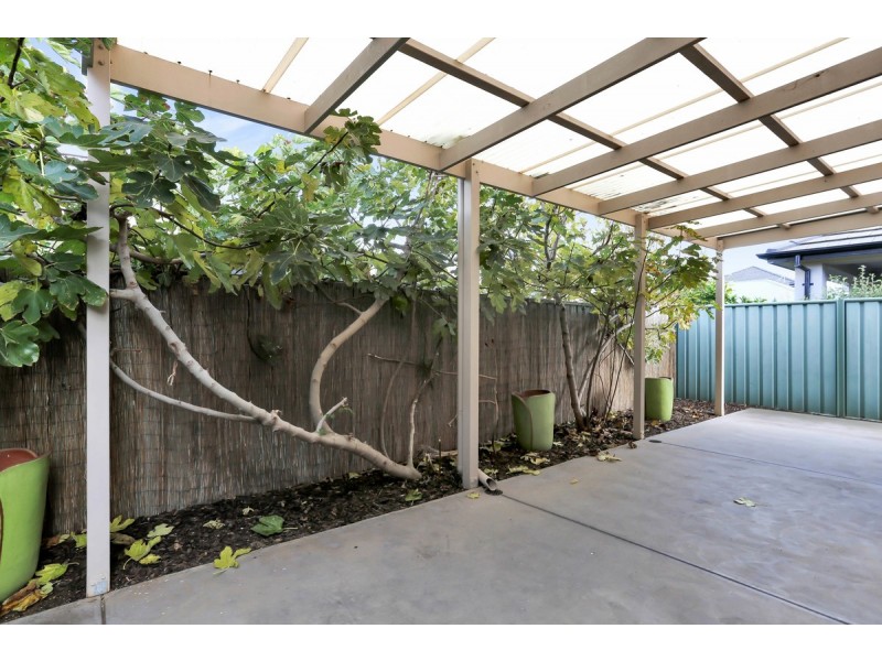 15 Mapleton Circuit, Mawson Lakes SA 5095