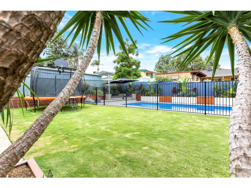 7 Huon Street, Banksia Park SA 5091