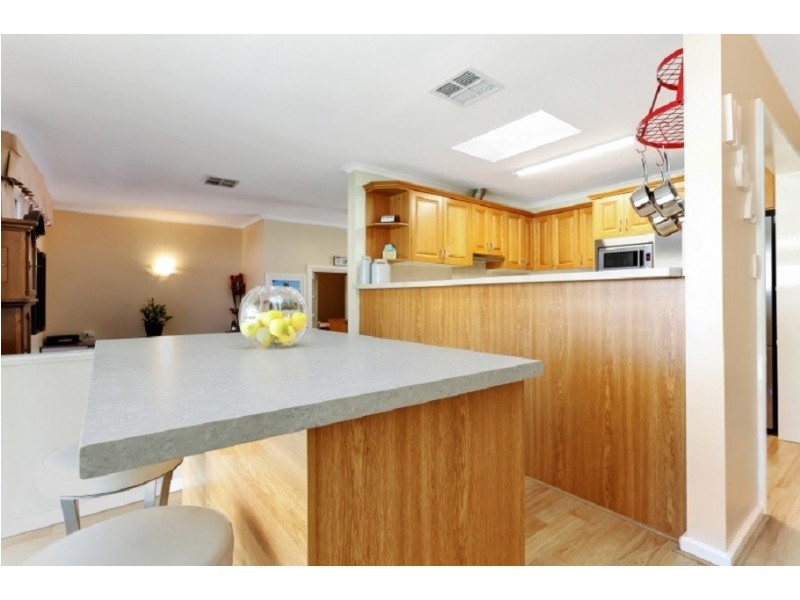 42 Littler Drive, Fairview Park SA 5126