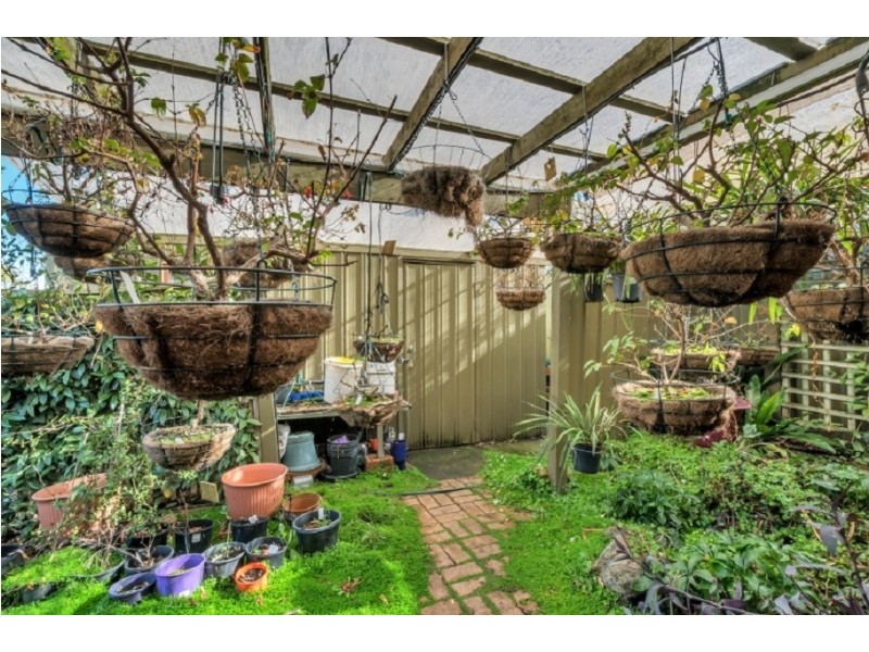 38 McEwin Avenue, Redwood Park SA 5097