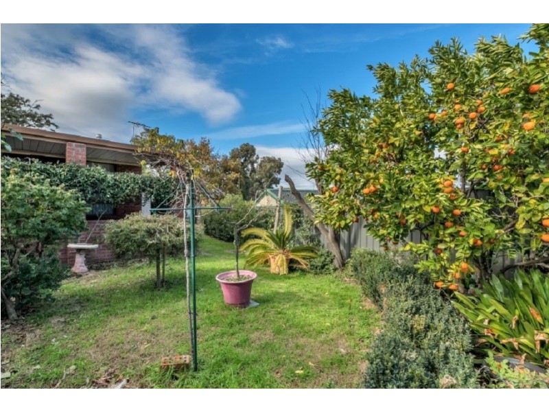 38 McEwin Avenue, Redwood Park SA 5097