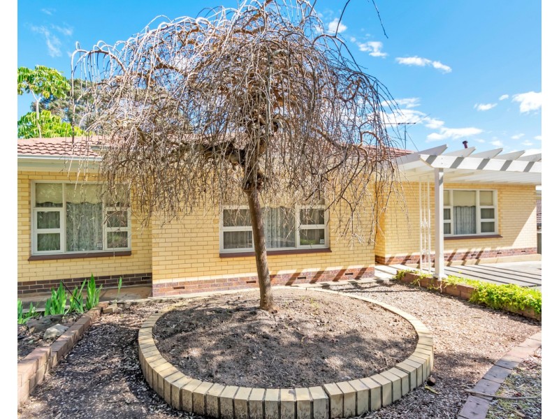 14 Euroa Avenue, Banksia Park SA 5091