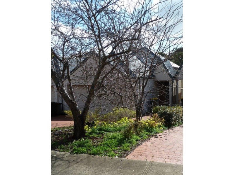 8b Pendeen Street, Golden Grove SA 5125