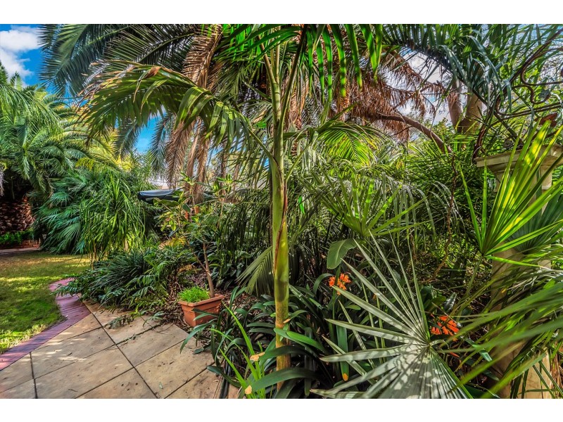 8 Burton Street, Modbury SA 5092