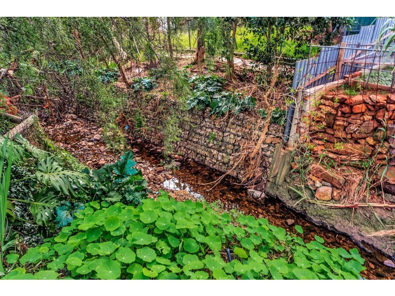 8 Burton Street, Modbury SA 5092