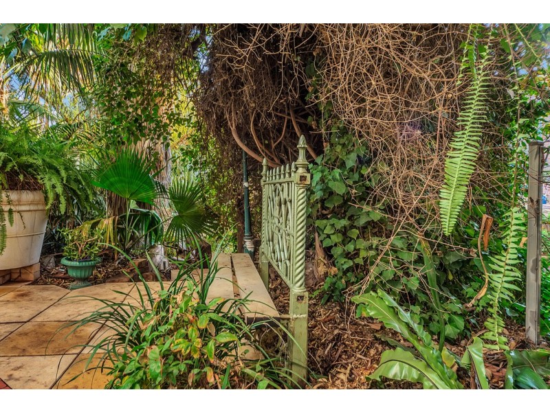 8 Burton Street, Modbury SA 5092