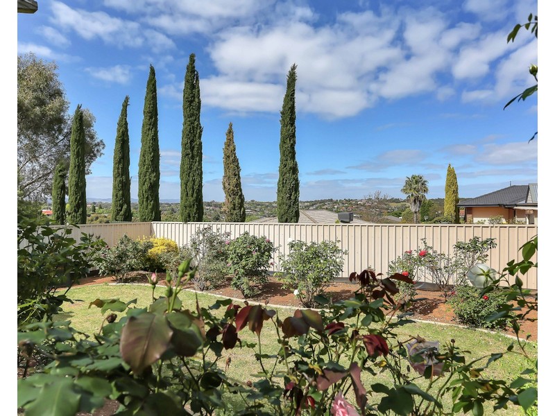 13 Marwick Court, Greenwith SA 5125