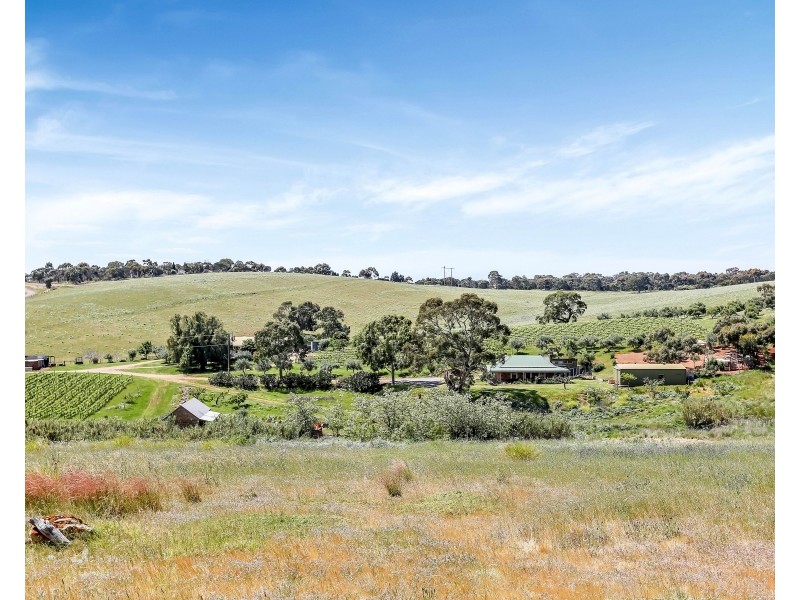 42 Settlers Hill Drive, Golden Grove SA 5125