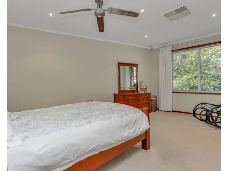 6 Littler Drive, Fairview Park SA 5126