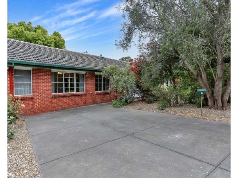 6 Littler Drive, Fairview Park SA 5126