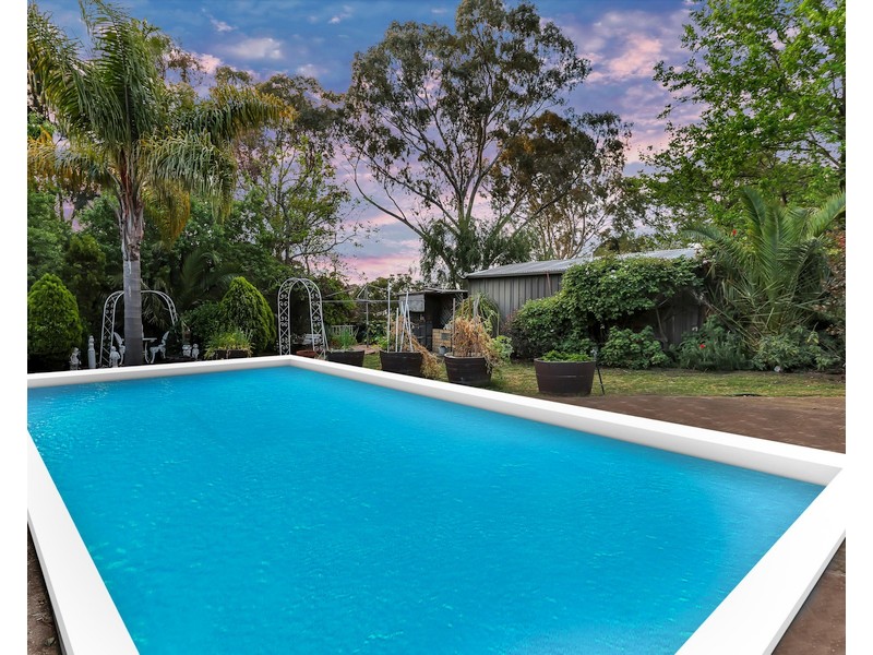 53 Buckley Crescent, Fairview Park SA 5126