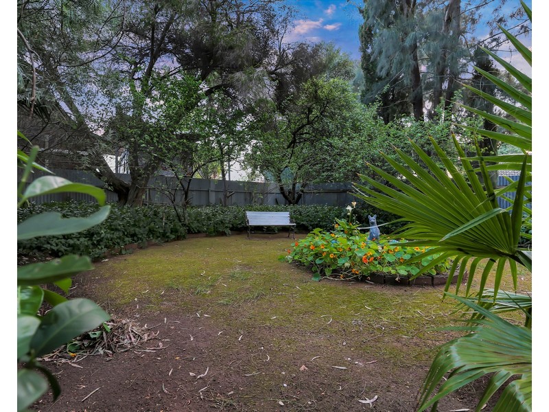 53 Buckley Crescent, Fairview Park SA 5126