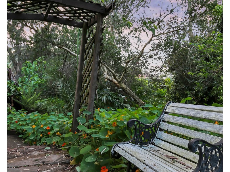 53 Buckley Crescent, Fairview Park SA 5126