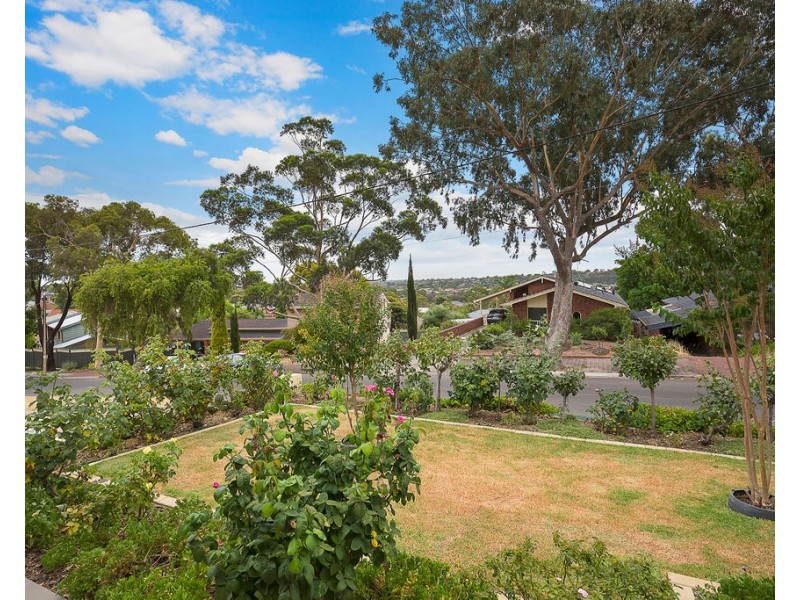 17 Hutchinson Avenue, Athelstone SA 5076
