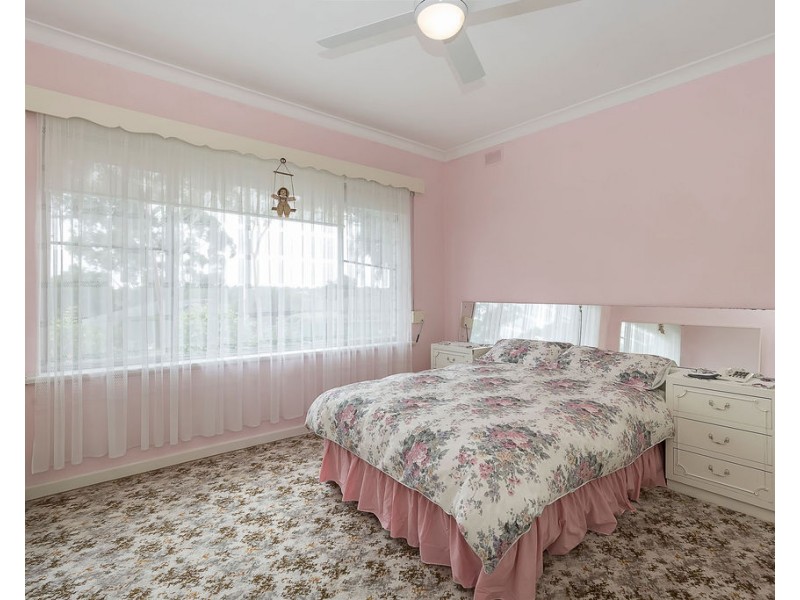 17 Hutchinson Avenue, Athelstone SA 5076