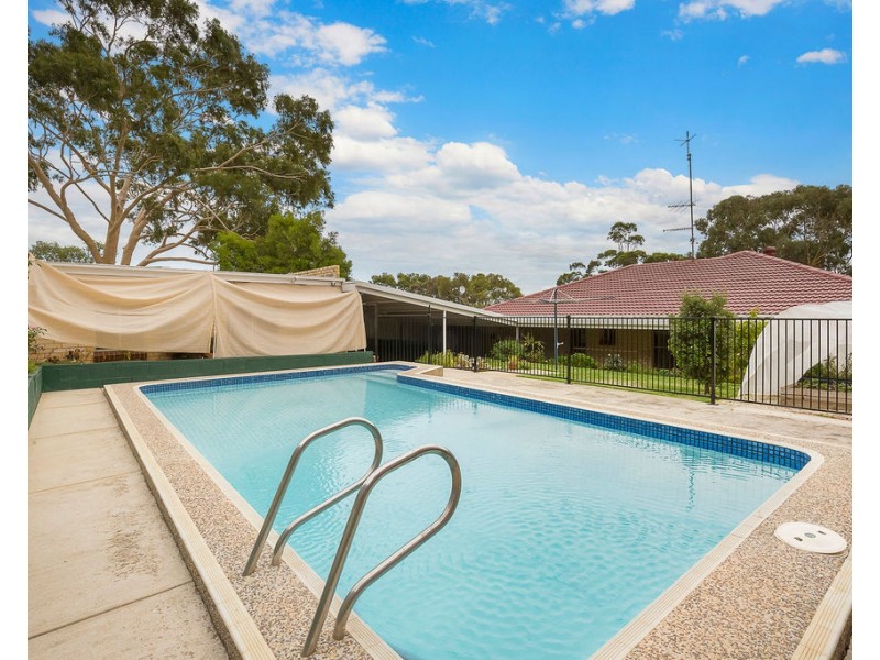 17 Hutchinson Avenue, Athelstone SA 5076