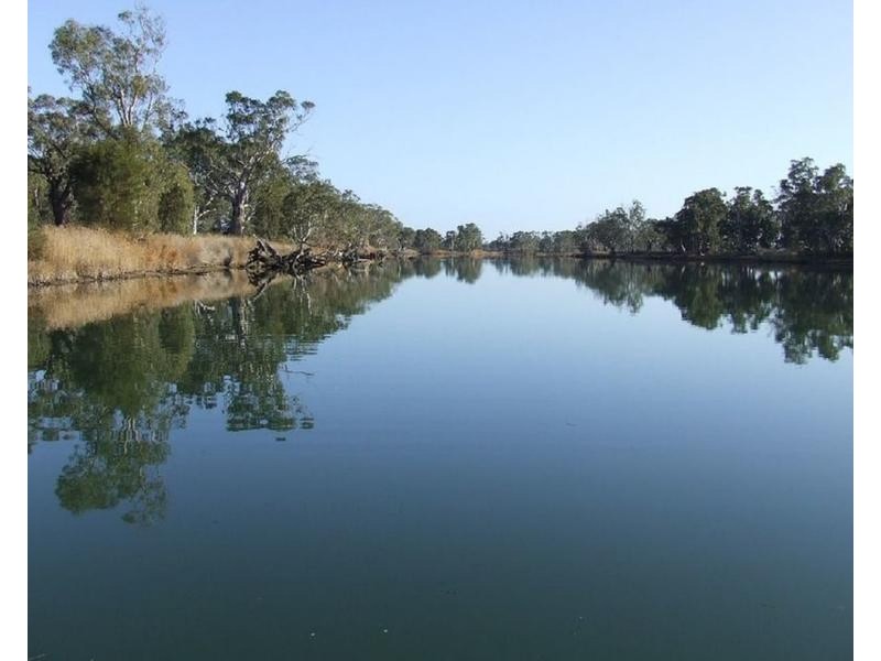 40 Nildottie Road, Swan Reach SA 5354
