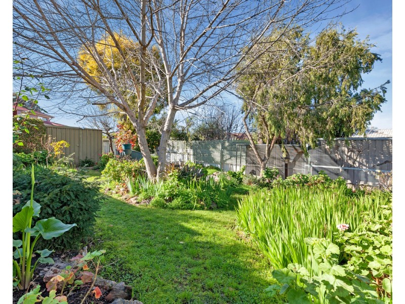 5 Minton Avenue, Modbury Heights SA 5092