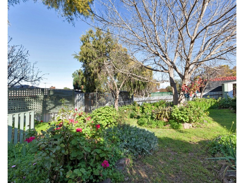 5 Minton Avenue, Modbury Heights SA 5092
