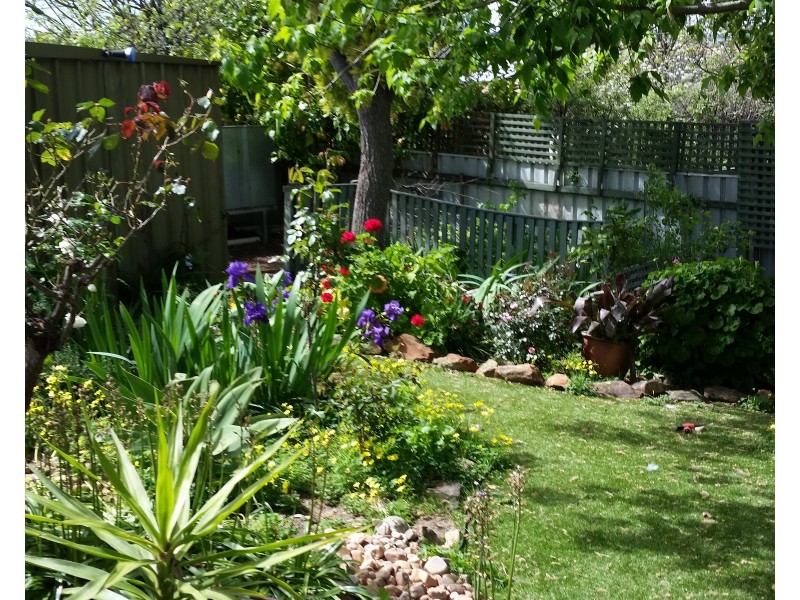 5 Minton Avenue, Modbury Heights SA 5092