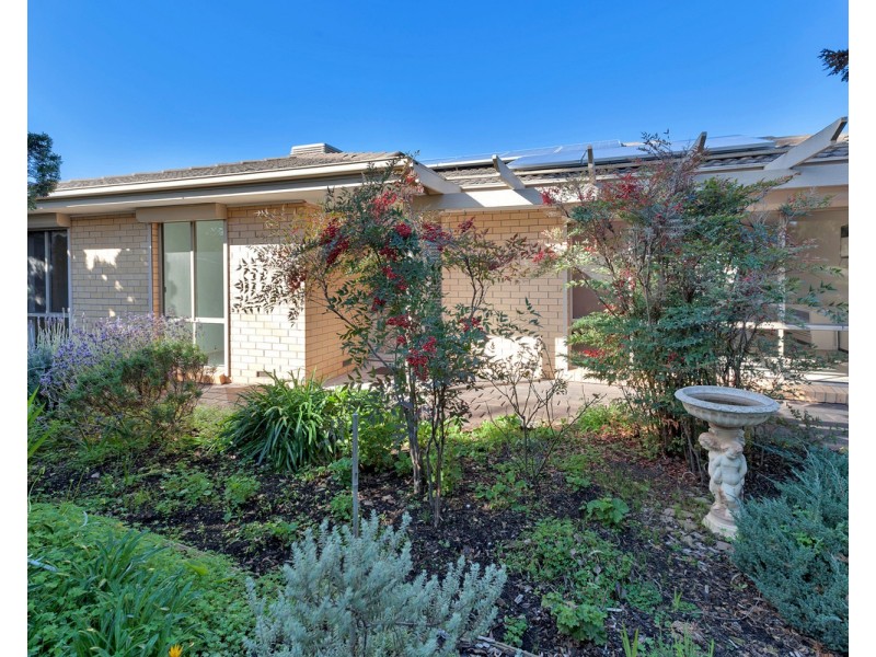 5 Minton Avenue, Modbury Heights SA 5092