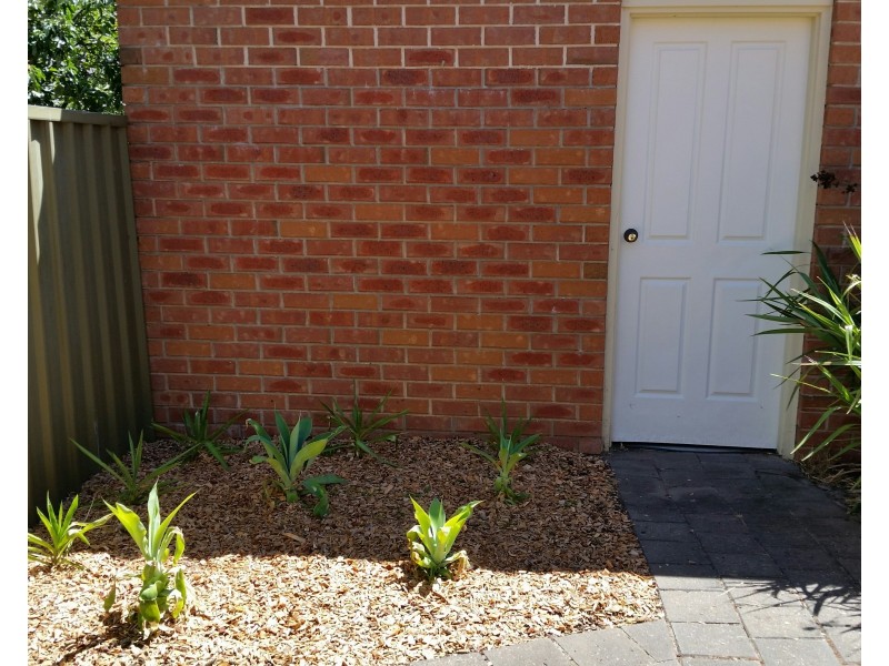 4/55 Hazel Grove, Ridgehaven SA 5097