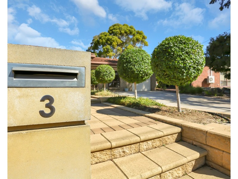 3 Joyce Street, Redwood Park SA 5097