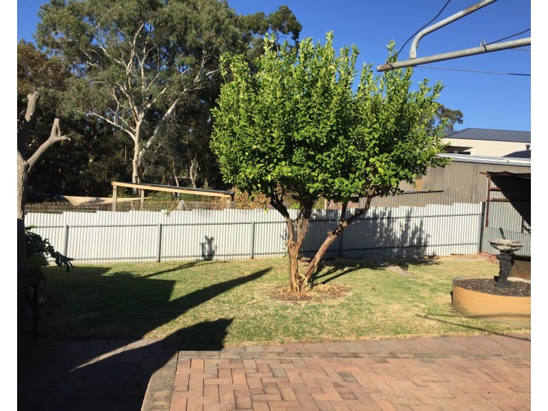 40 Shelley Street, Tea Tree Gully SA 5091